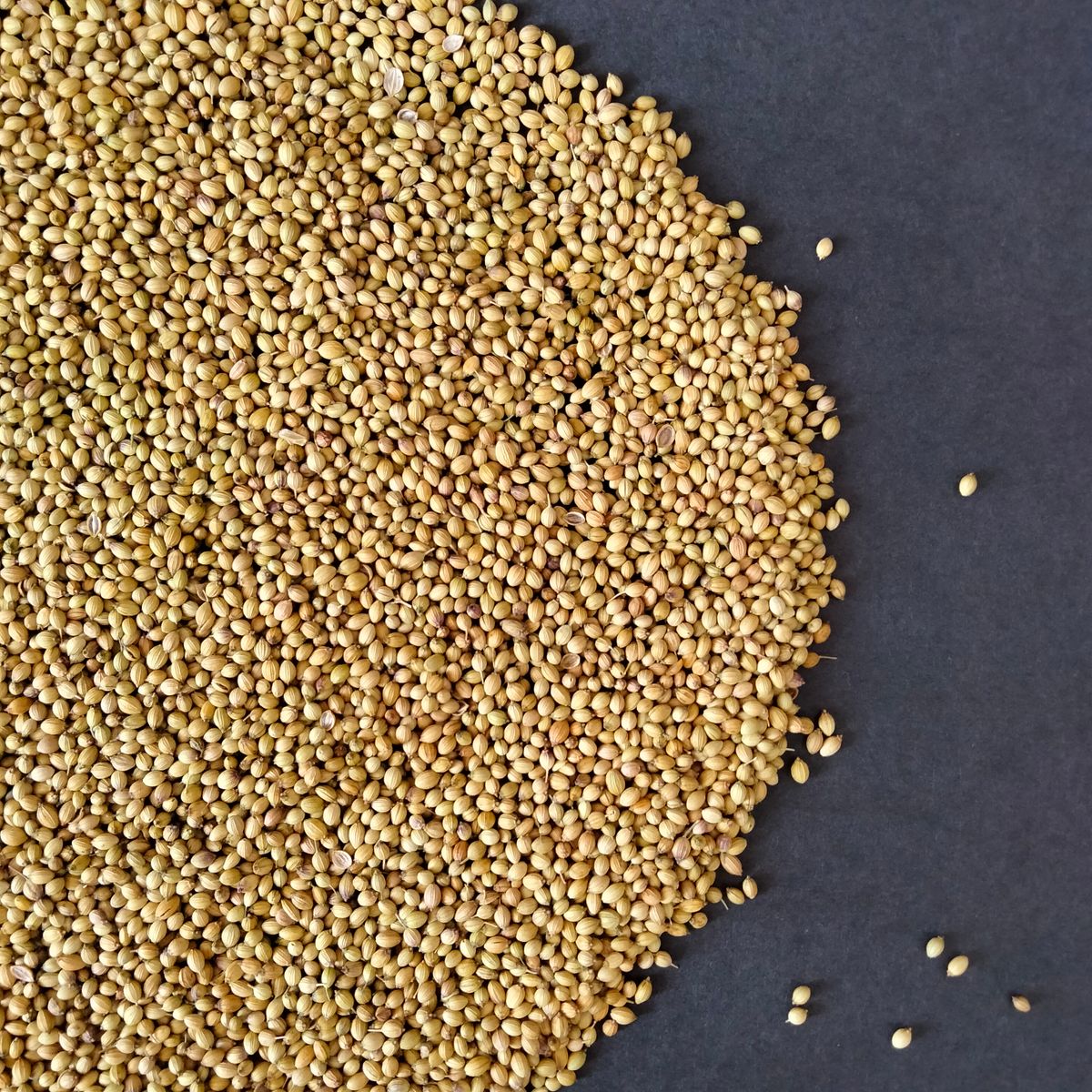 Coriander Seeds